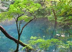 �y�G�[�XJTB�E�������s�z�X�c�A�[�E�X�̗��فE�z�e���\��@